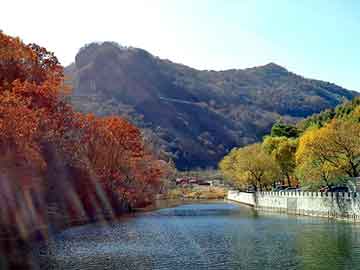 山东大葱种植技术，田东网站优化